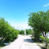 Cimitirul Sf. Maria-Herastrau, Baneasa, Aviatiei